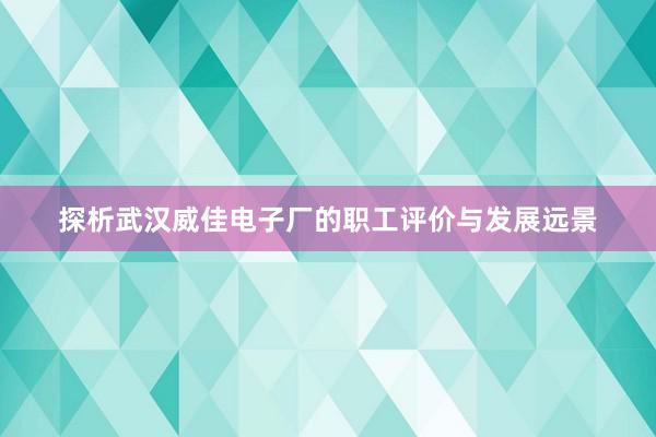 探析武汉威佳电子厂的职工评价与发展远景