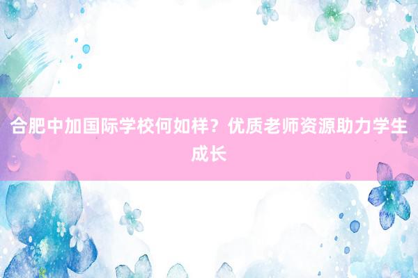 合肥中加国际学校何如样？优质老师资源助力学生成长